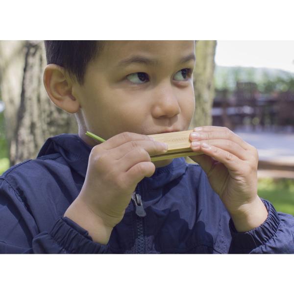 Kinder Spielzeug Huckleberry Grasflöte Graspfeife Grass Whistle Holz Instrument