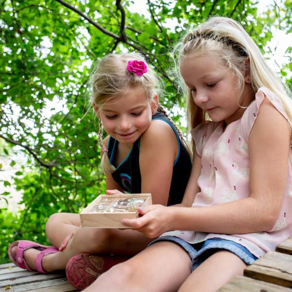 Huckleberry Kinder Outdoor Käfer Box Mein kleines Museum 3 Vergrößerungen Holz