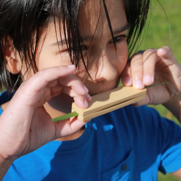 Kinder Spielzeug Huckleberry Grasflöte Graspfeife Grass Whistle Holz Instrument